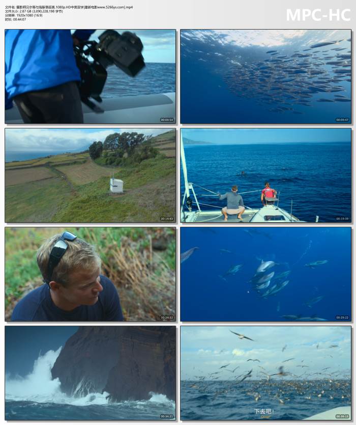 日常向片单漂流